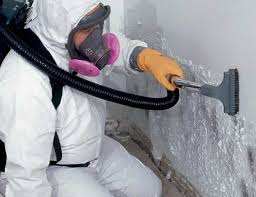 Reliable Summerville, GA Mold Prevention & Removal  Solutions